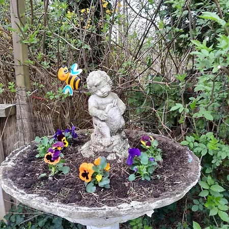 Au Dela Des Remparts * Montreuil (Pas-de-Calais)