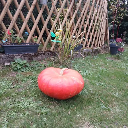 Au Dela Des Remparts Vakantiehuis