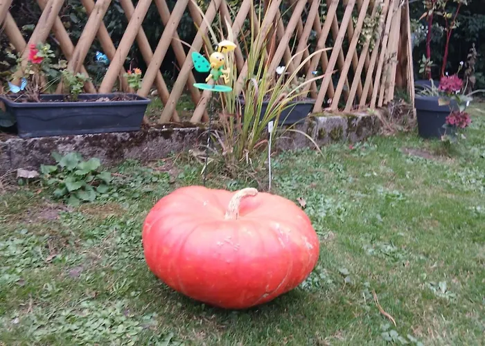 Au Delà Des Remparts Hébergement de vacances
